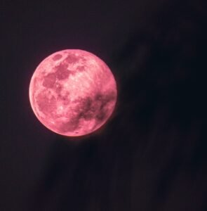 luna rosa