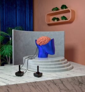 cerebro
